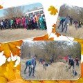The information about the cleanup 10 October ssh№24