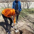 On April 21, the staff of the teaching staff, technical personnel, parents and students of the school removed the fixed territory (the land was cleaned of domestic garbage, dried grass of broken knots and debris), shrubs were cut, and trees were whitewash