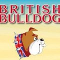 British Bulldog English language competition