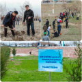 the Park of the First President in Kyzylorda held an action on planting trees 