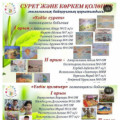 Results of the remote ecological competition of painting and crafts