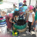 Together with the children, the group planted flowers in the yard.