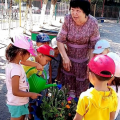 Сегодня дети ухаживали за цветами,растущими во дворе детского сада, за садом